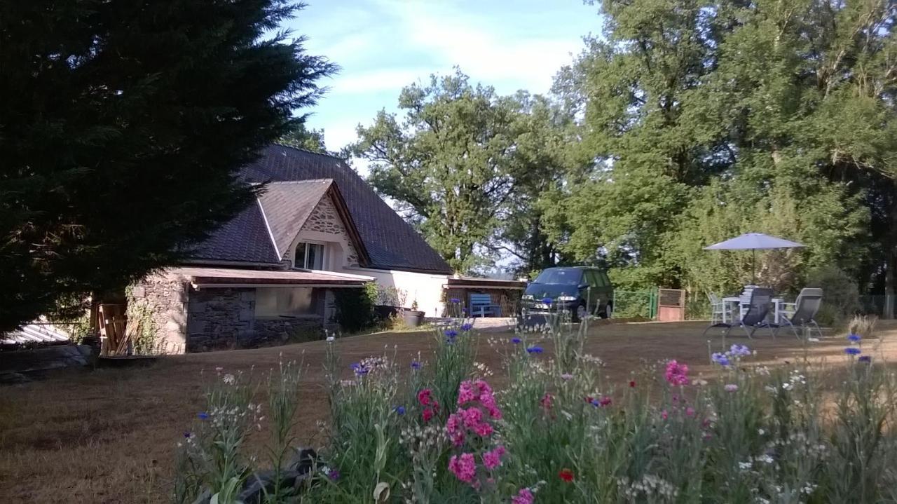 Gite De La Maison Bleue Villa Mirandol-Bourgnounac Eksteriør bilde