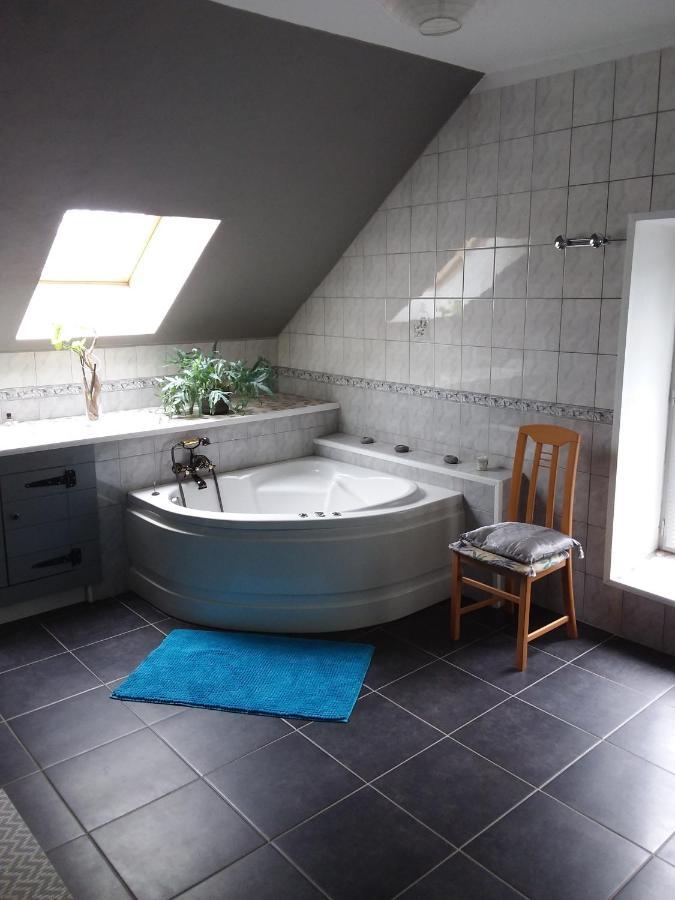 Gite De La Maison Bleue Villa Mirandol-Bourgnounac Eksteriør bilde